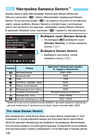 Страница 120