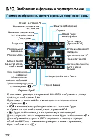 Страница 238