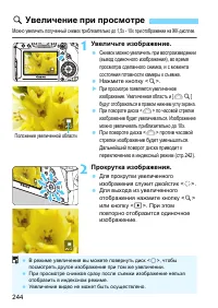 Страница 244