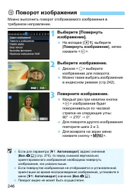 Страница 246