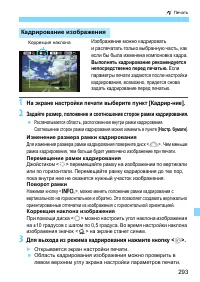 Страница 293