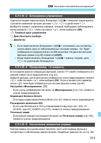Страница 313