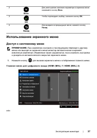Страница 37