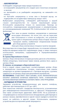 Страница 31