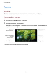 Страница 51