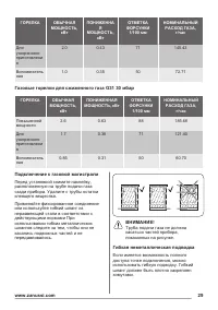 Страница 29