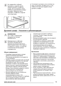 Страница 13