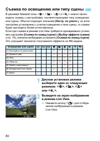 Страница 80