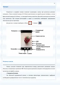 Страница 76