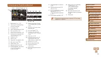 Страница 181