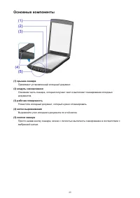 Страница 25