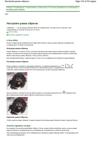 Страница 176