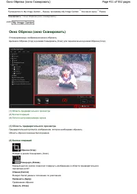 Страница 411