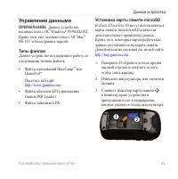 Страница 43