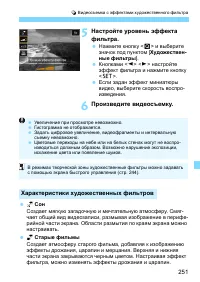 Страница 251