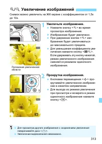 Страница 313