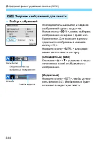 Страница 344