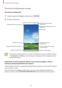 Страница 137