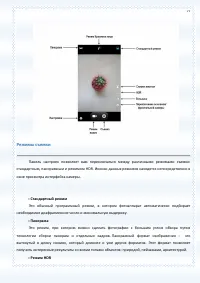 Страница 77