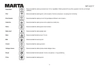 Страница 31