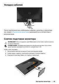 Страница 25