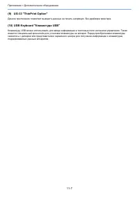 Страница 234