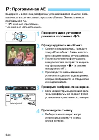 Страница 244