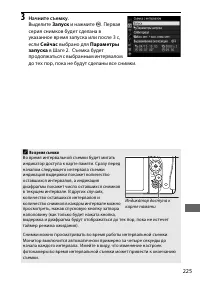 Страница 253