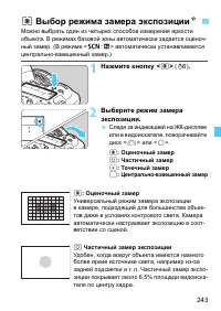 Страница 243