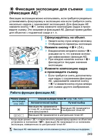 Страница 249