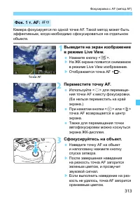 Страница 313
