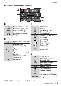 Страница 53