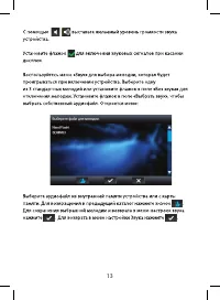 Страница 13