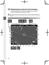 Страница 29