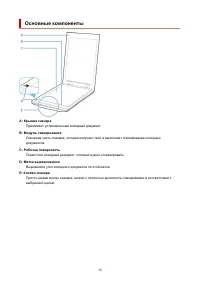 Страница 38