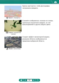 Страница 63