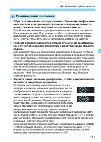 Страница 111