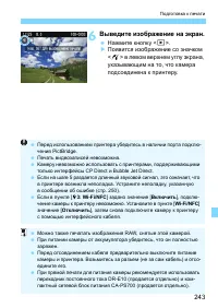 Страница 243