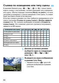 Страница 80