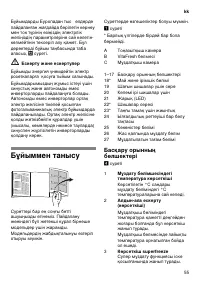 Страница 55