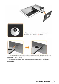 Страница 25
