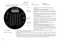 Страница 25