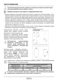 Страница 17