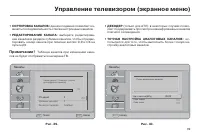 Страница 41