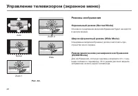 Страница 44