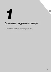 Страница 37