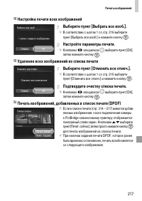 Страница 217