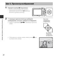 Страница 46