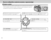 Страница 50