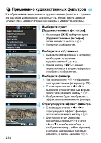 Страница 234